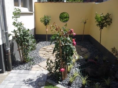 Sitzecke mit Rosenstämmchen und Lavabeet