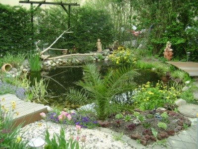 Teich mit Palme und kleinem Steg